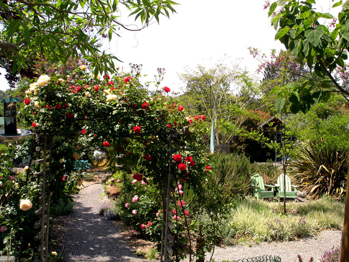 DSC02838