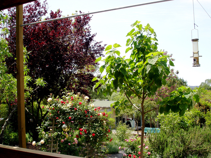 DSC02839